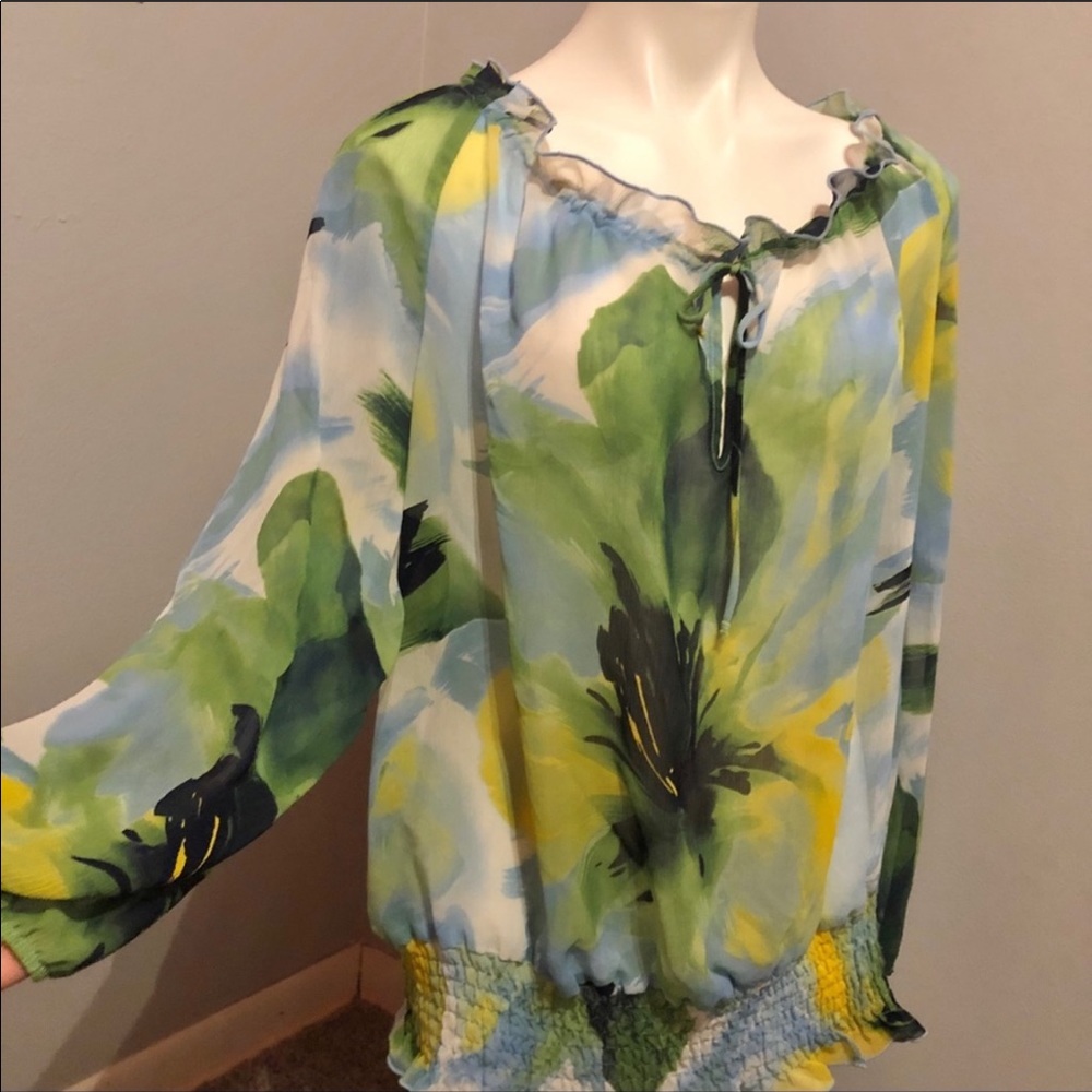 Lane Bryant Long Sleeve Sheer Blouse